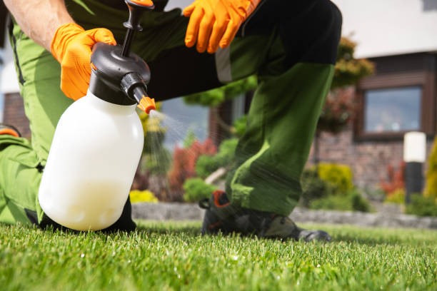 Reliable Casa Loma, CA Pest Control Solutions